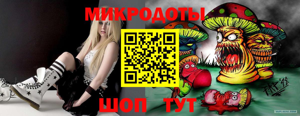 Псилоцибиновые грибы Psilocybe  Галлюциногенные грибы мицелий  Краснодар  Вход с VPN 